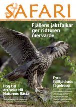 Ekoturismföreningen