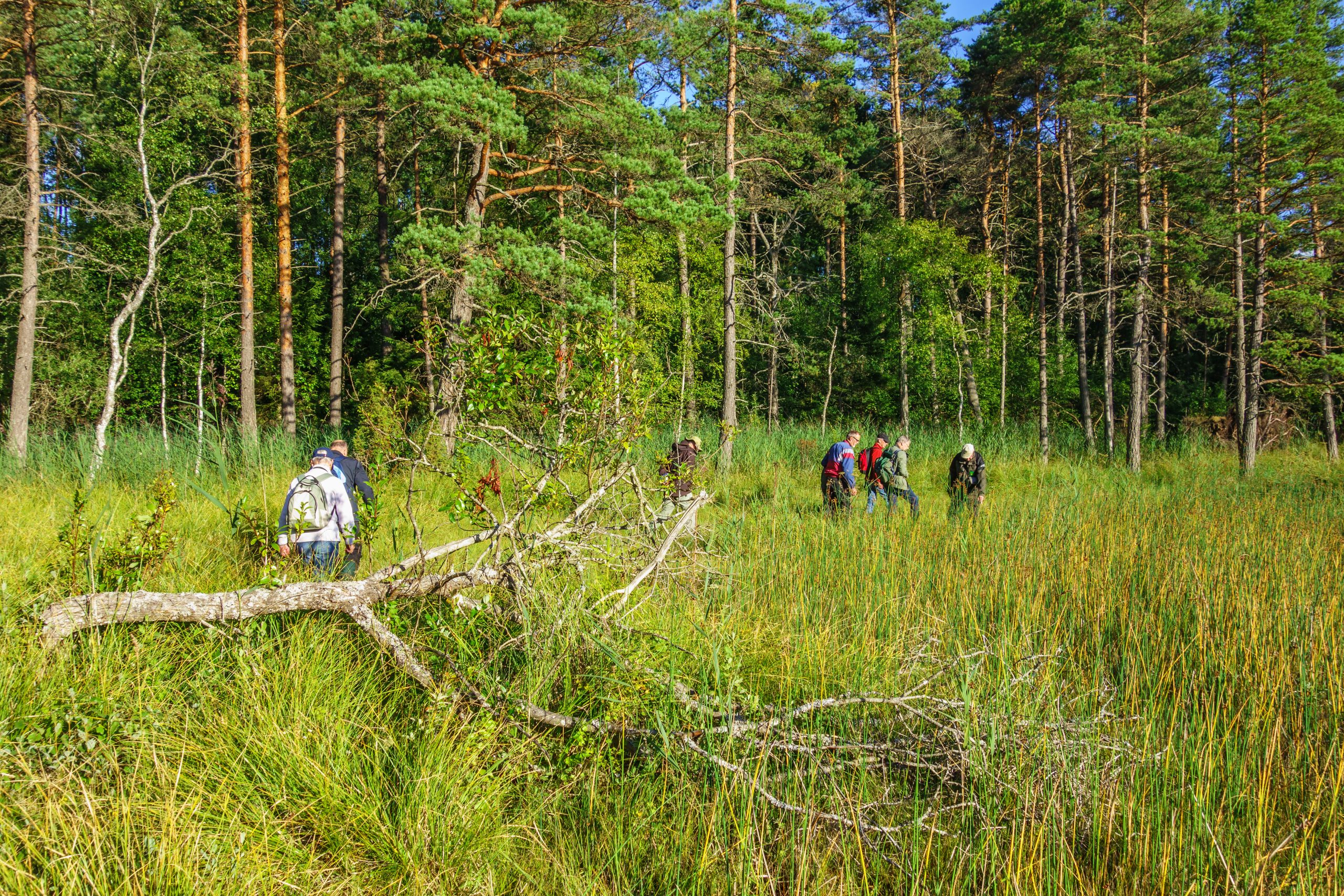 medlemsbrev fornyat medlemskap 2021 scaled 1