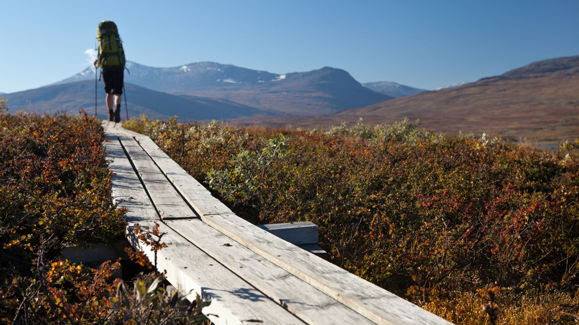 istock 177520067 medlemmar